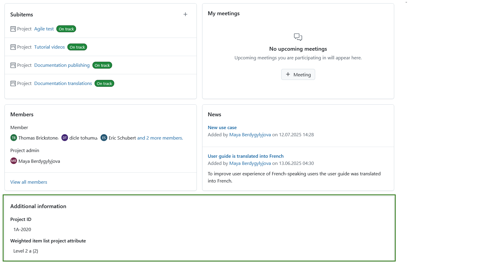 Additional information section of the project overview tab